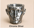 Chrome/silver  AshHead